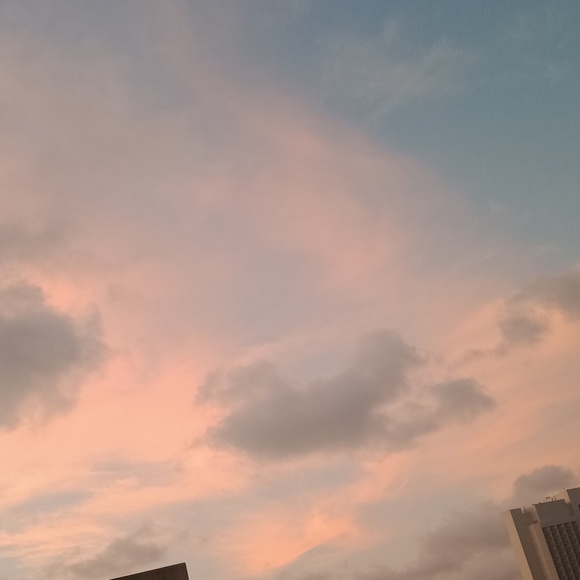 Meet your Posher, Jesse - Picture 1 of 1